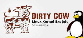مشکل امنیتی لینوکس 0day linux dirty cow