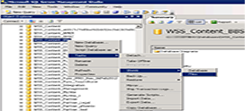 کاهش حجم دیتابیس در Sql Server