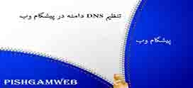 تنظیم DNS دامنه در پیشگام وب