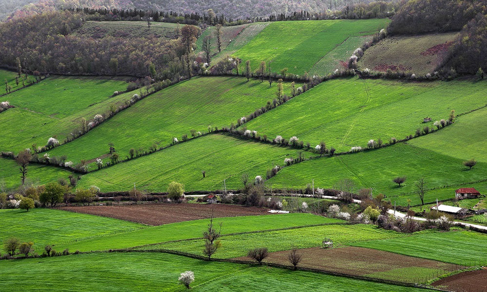 خرید هاست در مازندران