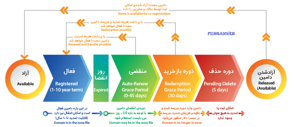 چرخه حیات دامین های بین المللی