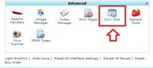 آموزش ایجاد کرون جاب در کنترل پنل Cpanel