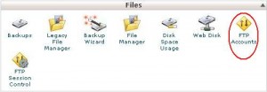 ایجاد اکانت FTP در Cpanel