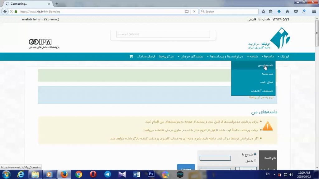 تنظیم DNS از طریق سایت ایرنیک