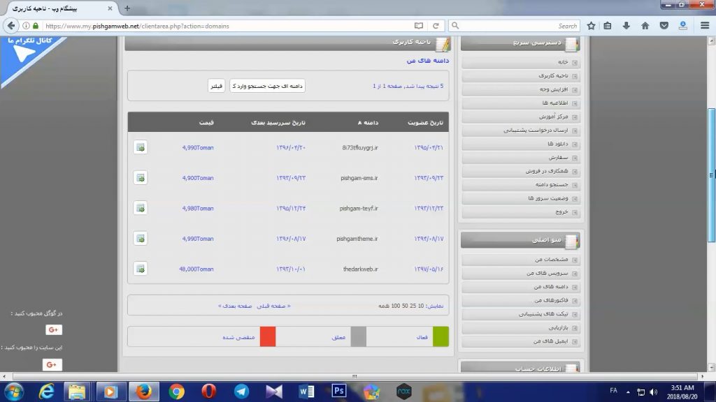 تنظیم DNS دامنه در پیشگام وب